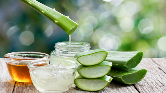 The benefits of aloe vera