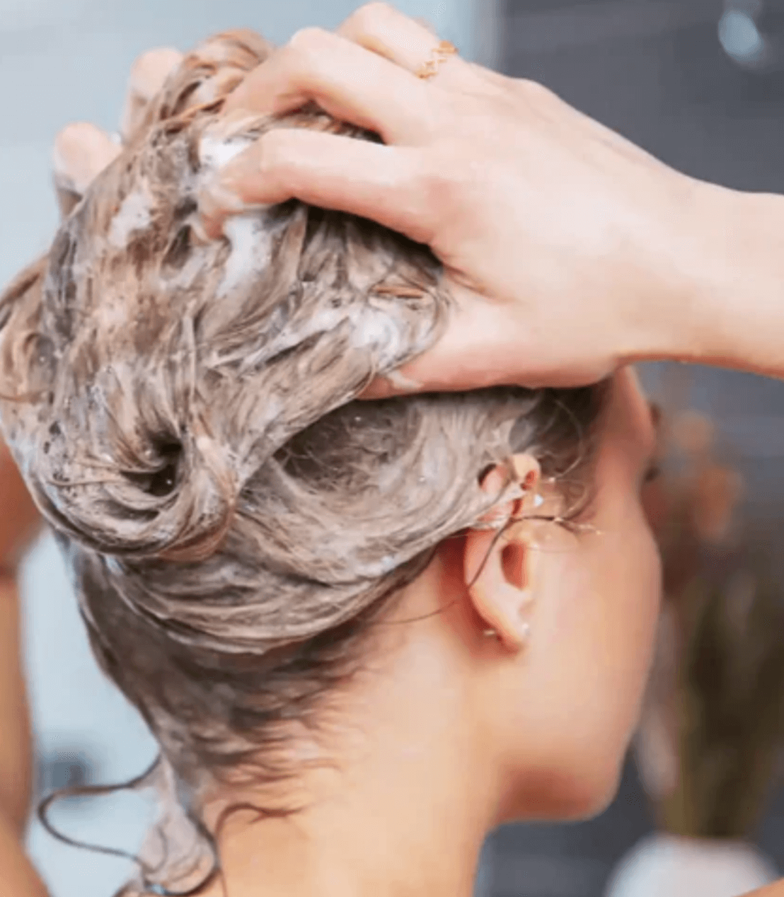 Curly Hair Solid Shampoo